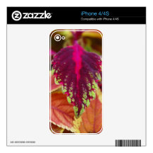 Autumn Decal For The iPhone 4