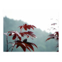 Autumn Dialog/ Poster posters