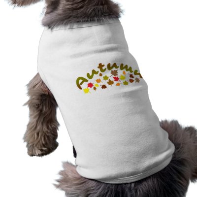 Autumn Doggie Tee Shirt by lifeisahighway