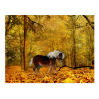 Autumn draft horse post cards