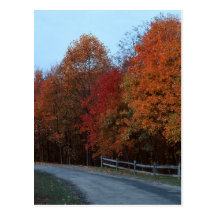 Autumn Drive--2 Postcard