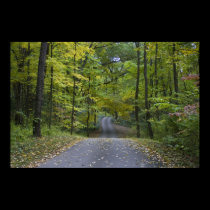 Autumn Drive canvas print posters