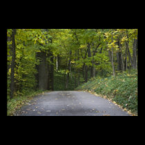 Autumn drive framed print posters