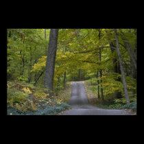 Autumn drive framed print posters