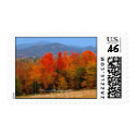 Autumn Drive Postage Stamp by terraphotography Autumn Drive Postage Stamp