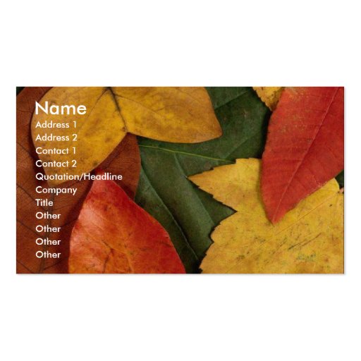 Autumn Ecstacy Business Card Template (front side)