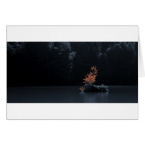Autumn Elements cards by Limaria Autumn Elements cards
