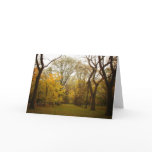 Autumn Elm Trees in Central Park, New York City Cards