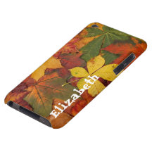 Autumn Fall Leaves Custom iPod Touch Case