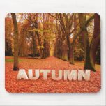 Autumn - Fall Mouse Pad -Trees & Vibrant Leaves