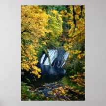 Autumn Falls Poster