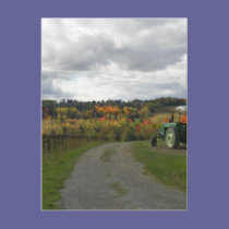 Autumn Farm postcards