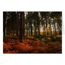 Autumn Ferns Card