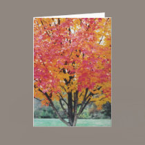 Autumn Fire cards by Jack_of_Arts Autumn Fire cards