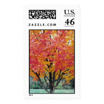 Autumn Fire postage