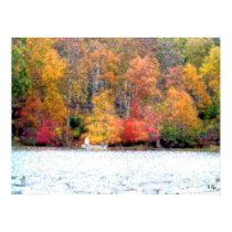Autumn Fishing posters