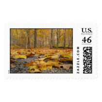 Autumn Floor postage