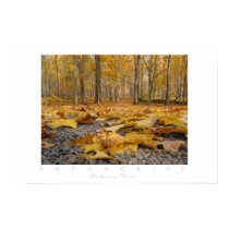 Autumn Floor posters