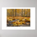 Autumn Floor posters