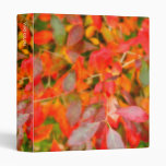 Autumn foliage 3 ring binder