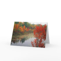 Autumn Foliage at Lake Cards