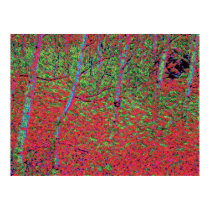 Autumn Foliage d5 posters