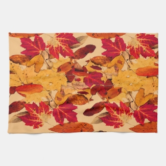 Autumn Foliage in Red Orange Yellow Brown