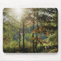 Autumn Foliage mousepads