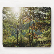 Autumn Foliage mousepads