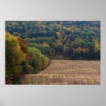 Autumn Foliage Mowed Field Digital Art Print