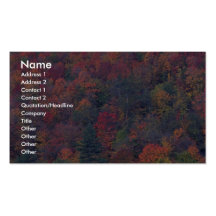 Autumn foliage of a mixed hardwood forest business card templates