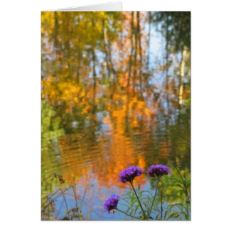 Autumn Foliage Pond and Purple Flowers
