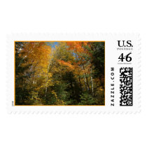 Autumn Foliage postage by JaguarPhotos Autumn Foliage postage