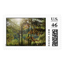 Autumn Foliage postage