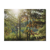 Autumn Foliage postcards