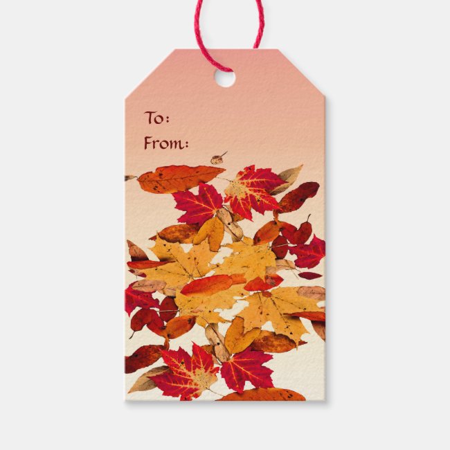 Autumn Foliage Red Yellow Orange Brown Gift Tags