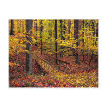 Autumn Footbridge,postcard