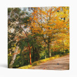 Autumn footpath in Azores Vinyl Binder
