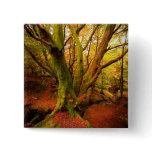 Autumn Forest Pinback Buttons