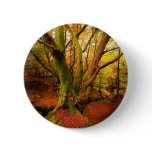 Autumn Forest Pins