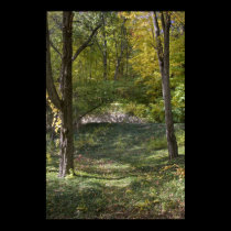 Autumn Forest canvas print posters