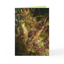 Autumn Forest Floor cards by MoiraAshleigh Autumn Forest Floor cards
