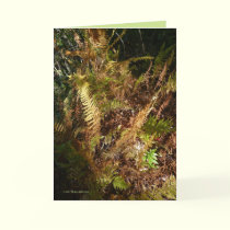 Autumn Forest Floor cards by MoiraAshleigh Autumn Forest Floor cards