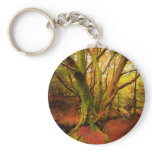 Autumn Forest Key Chain