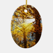 Autumn Forest Light Ornaments