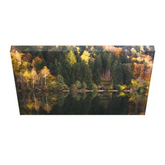 Autumn Forest on the Lake