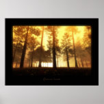 autumn forest print
