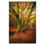Autumn Forest Stationery Design