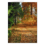 Autumn Forest Walk Card