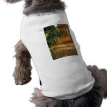 Autumn Forest Walk pet clothing